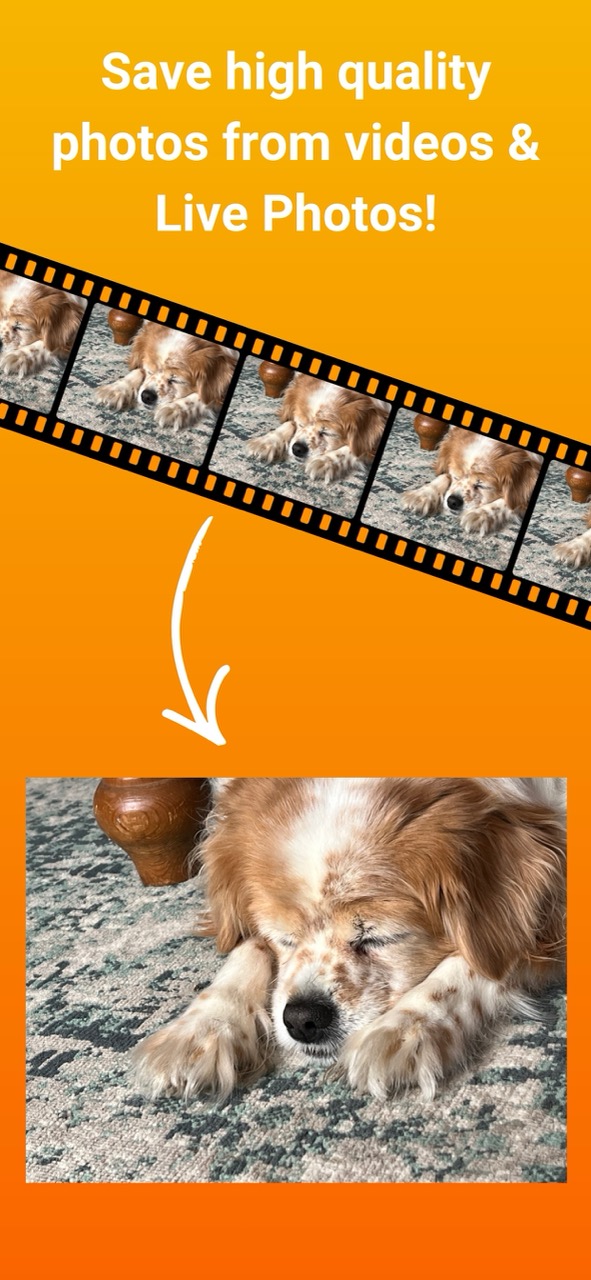 Photo Extractor — saving a high-quality still image out of a video